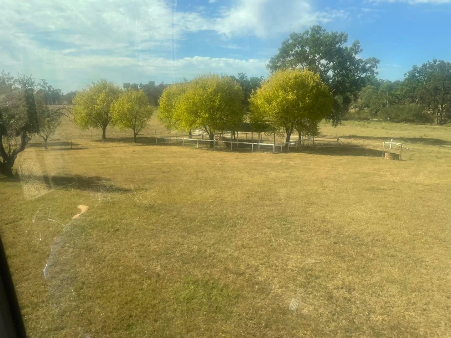 Dubbo Zoo 2025 Image -67de04d11ab80